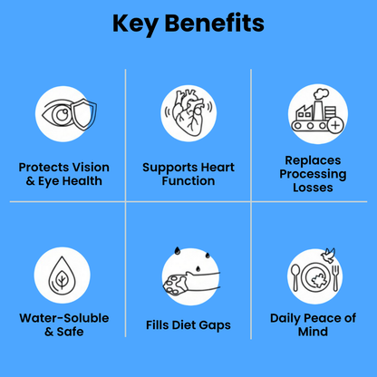 Velno Supps™ Taurine Supplement